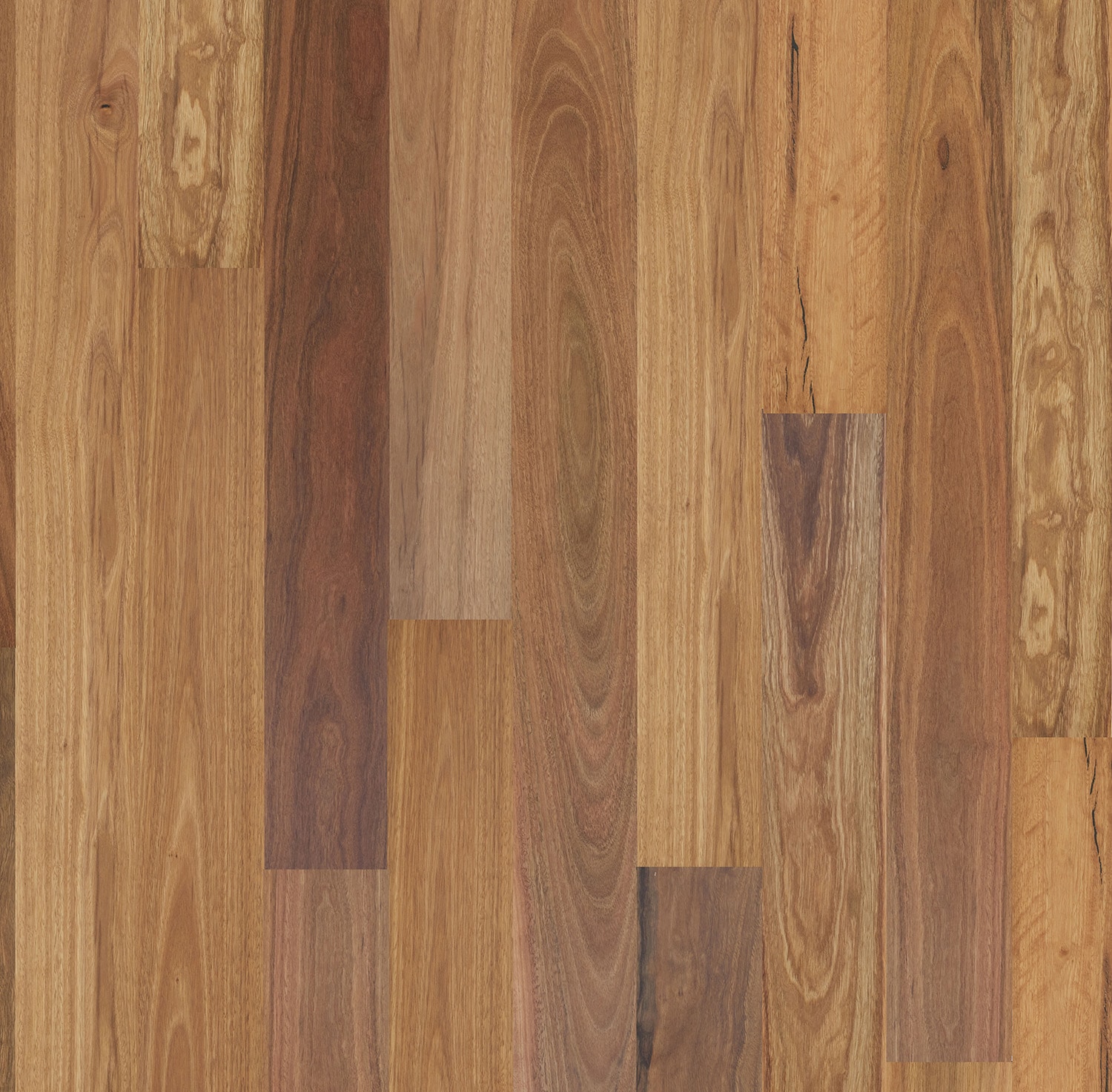 Eucalypt European Oak Flooring in Spotted Gum