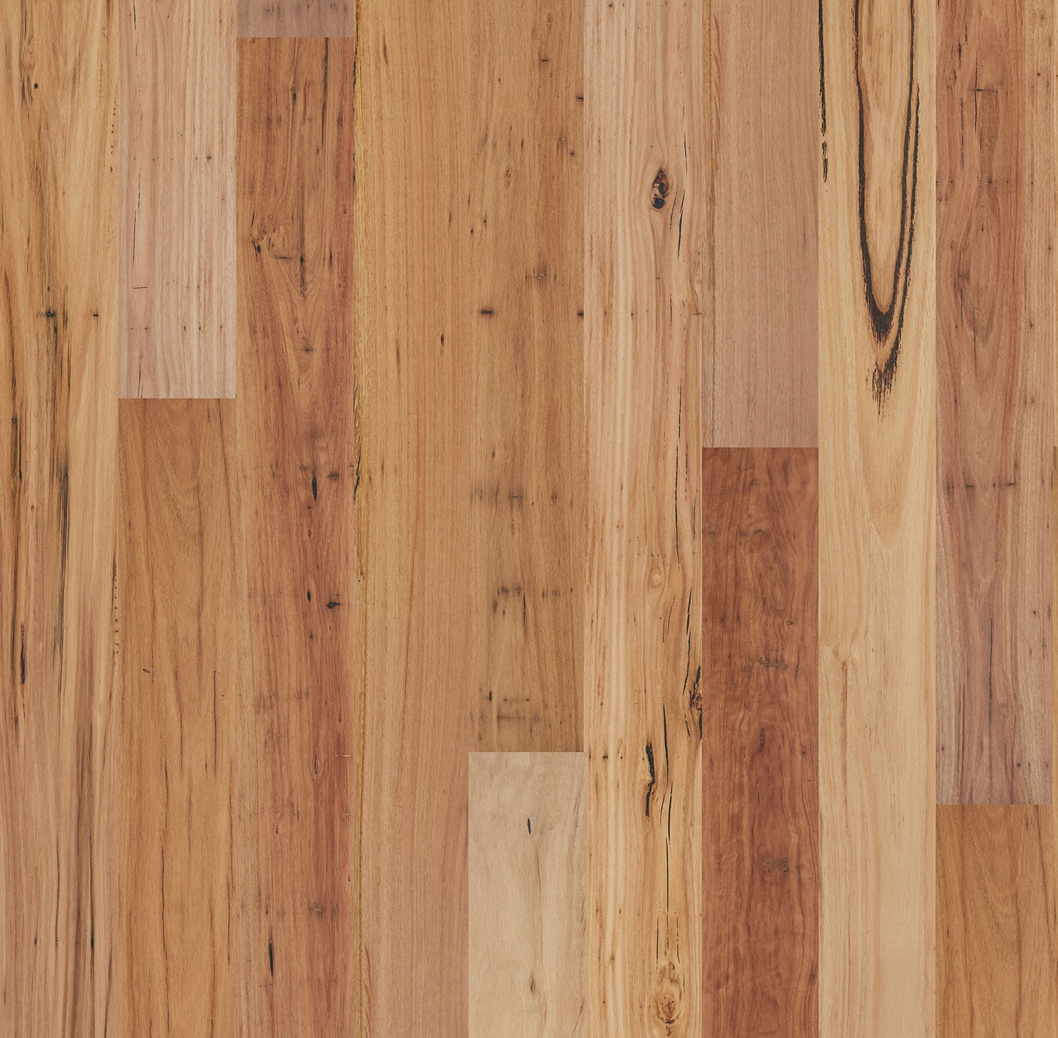 Eucalypt European Oak Flooring in Blackbutt Rustic