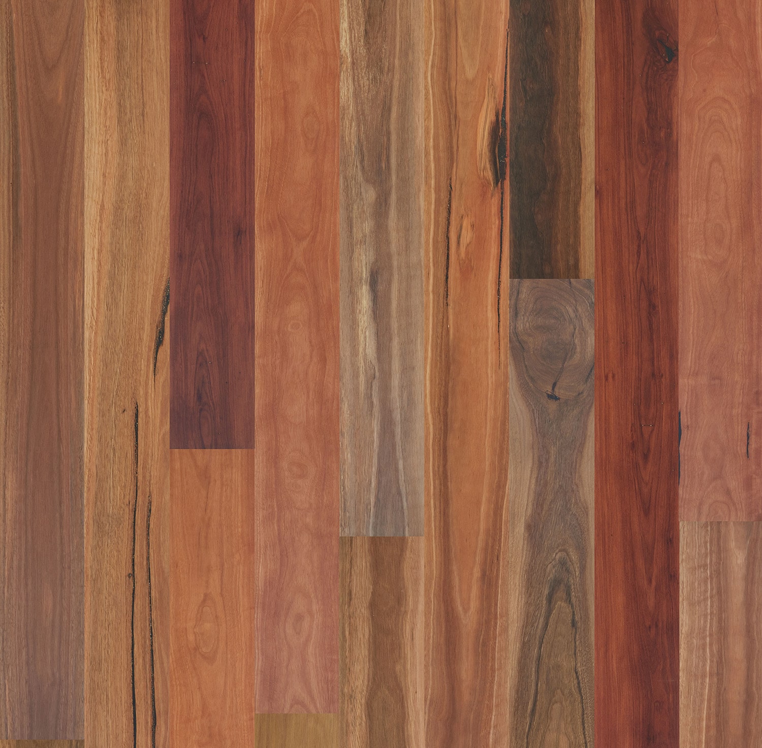 Eucalypt European Oak Flooring in Spotted Gum – Rustic