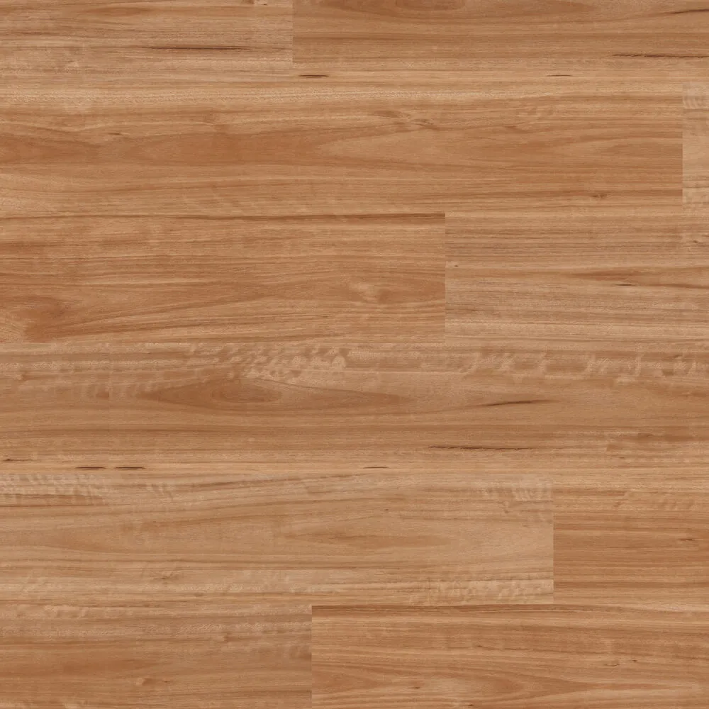 Florence Rigid Hybrid Flooring Range in Coastal Blackbutt Colour