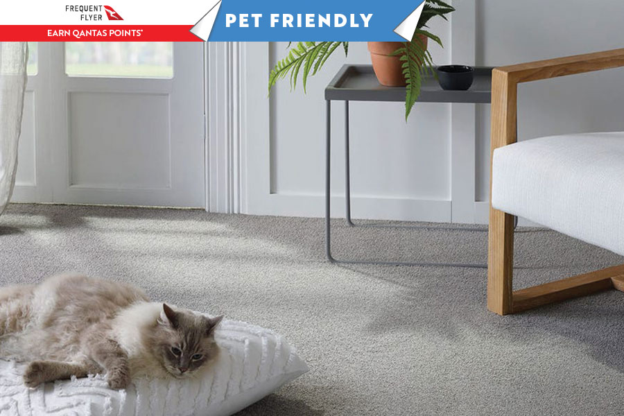Pet Friendly Carpet Range