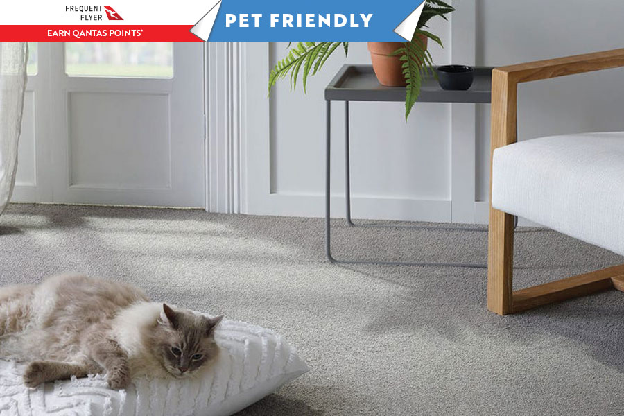 ultra-pet-basenji-hero - Westcoast Floors Pet Friendly Carpet Range