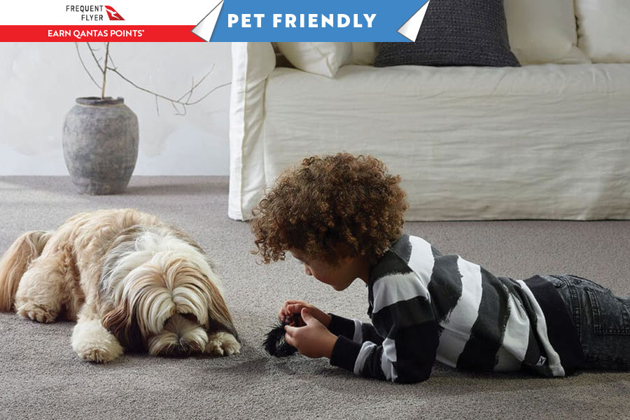 Best Pet Friendly Carpet range